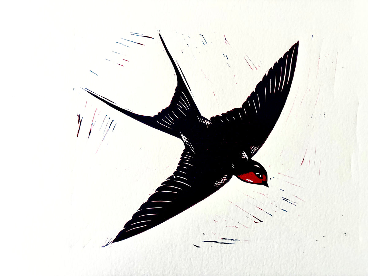 Swallows Diptyche