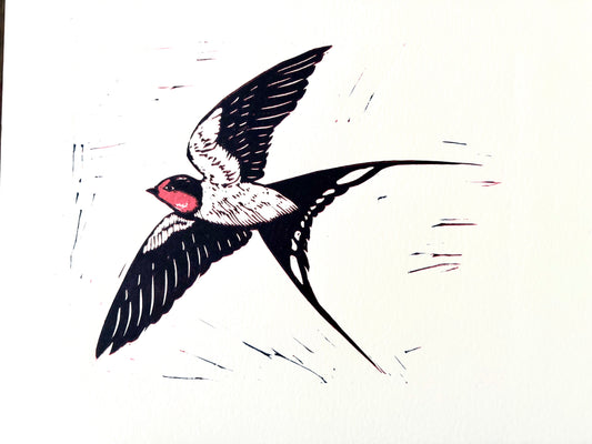 Swallows Diptyche