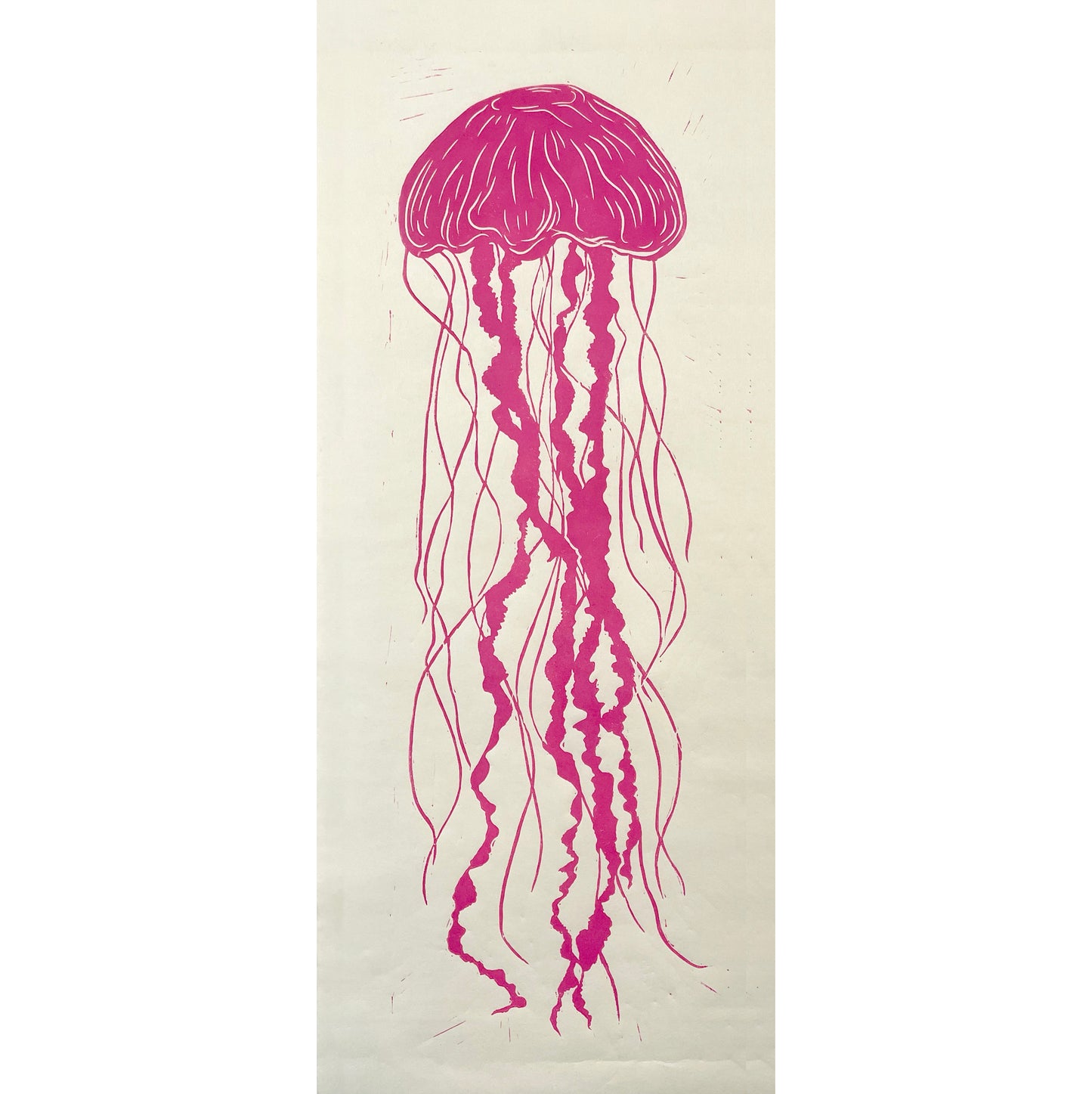 Pink Jellyfish