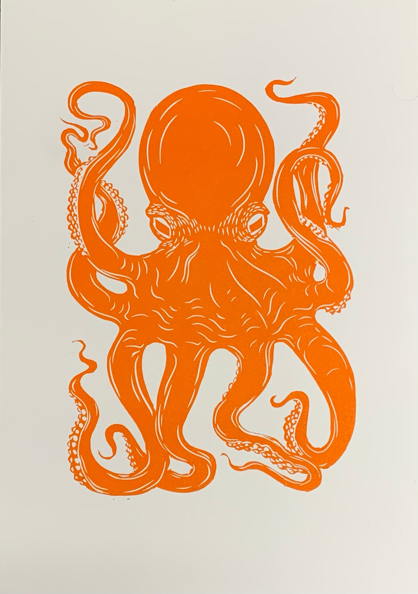 Octopus III Black
