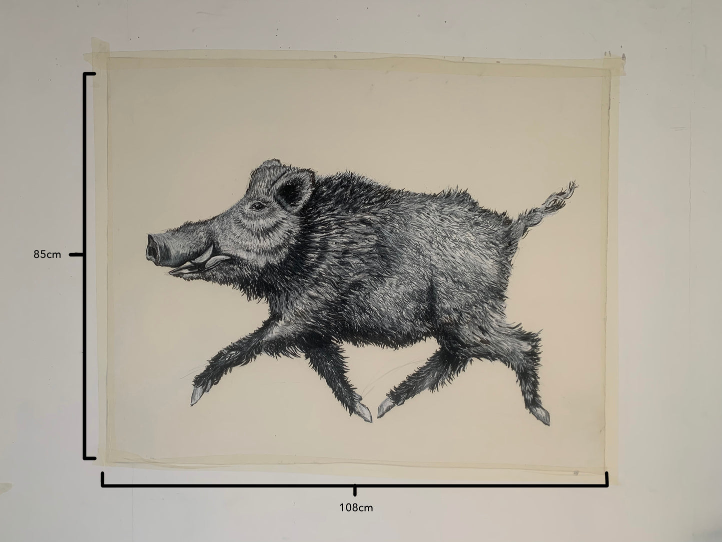 Wild Boar Pastel