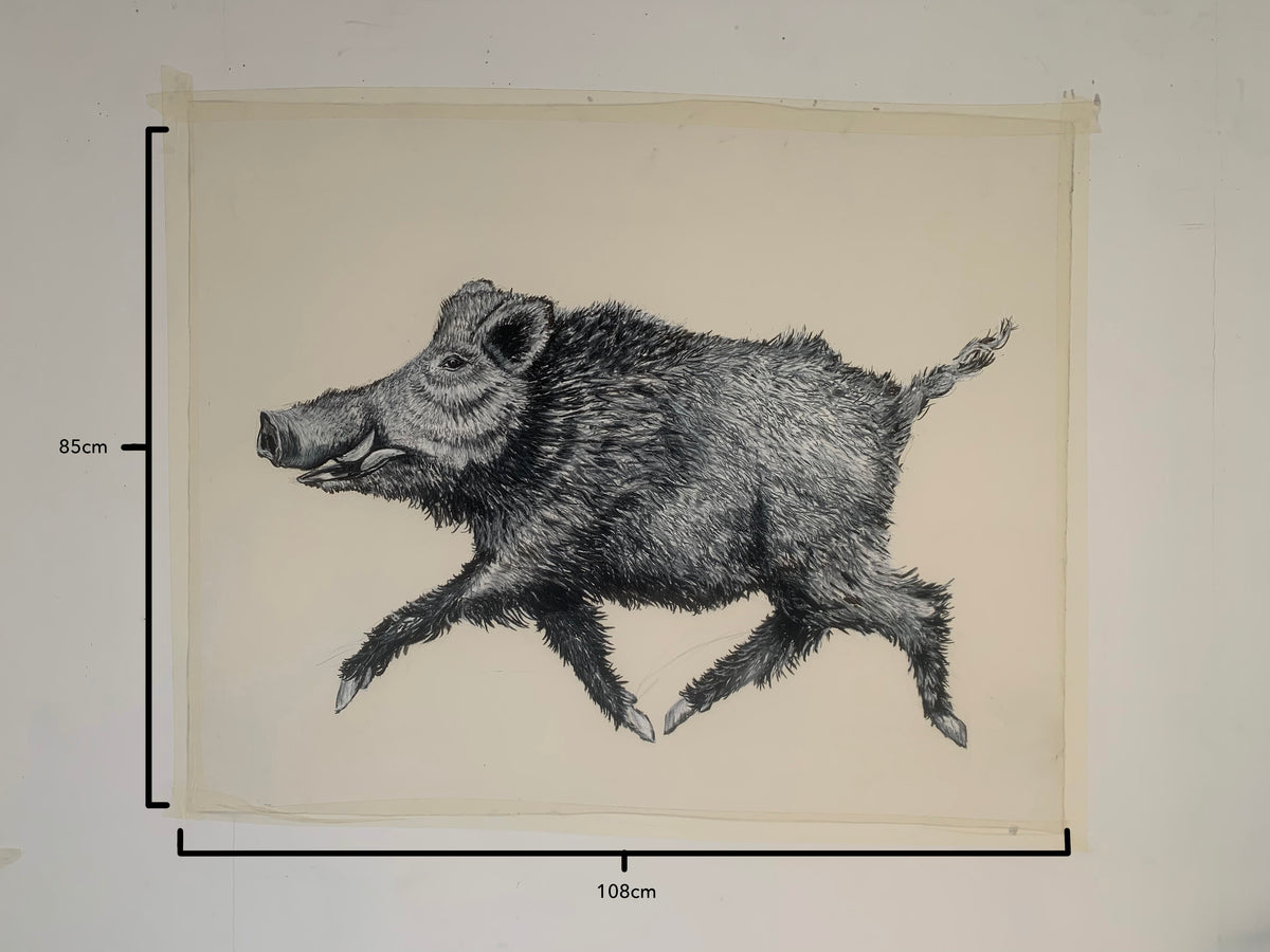 Wild Pig Sketchbook 14x25cm [5.5x9.8in] - Awaken your creative