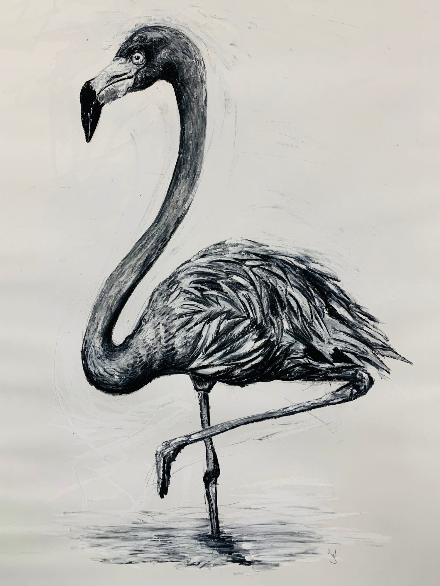 Charcoals