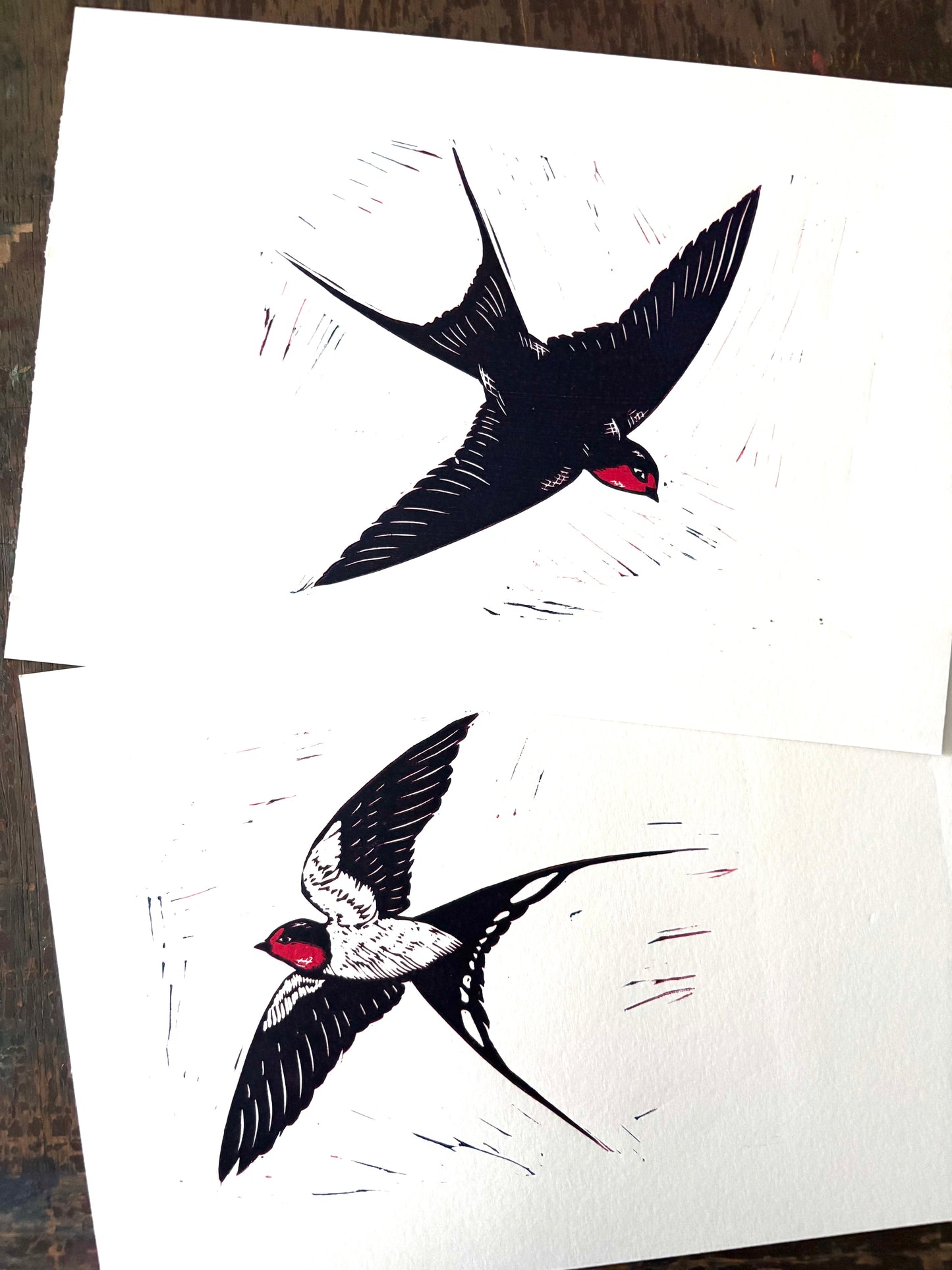 Swallows Diptyche