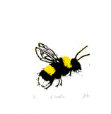 Bumblebee – Bombus terrestris