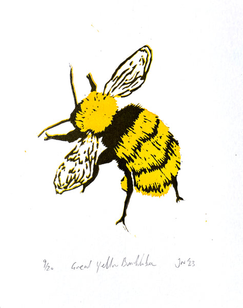Great Yellow Bumblebee