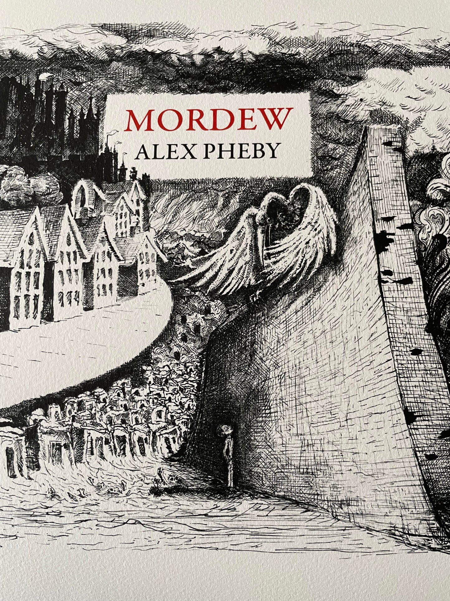 Mordew Book Cover Limited Edition