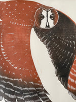 Tawny Owl Artist's proof