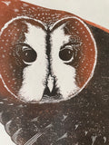 Tawny Owl Artist's proof