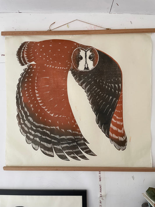 Tawny Owl Artist's proof