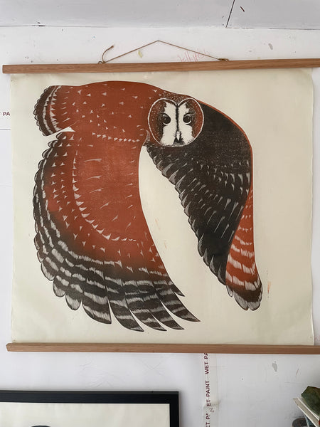 Tawny Owl Artist's proof