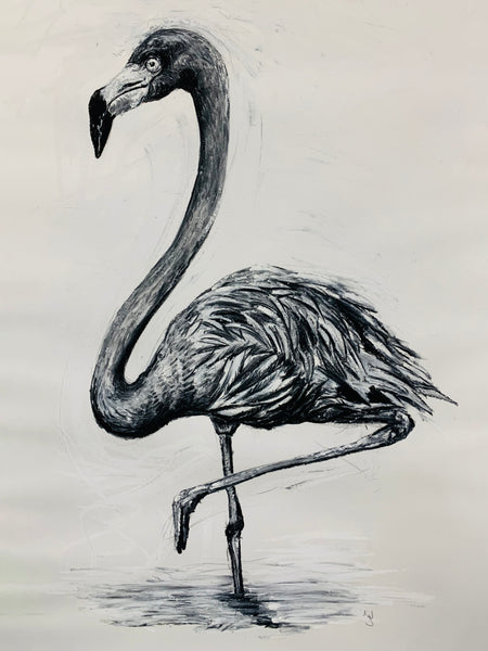 Flamingo Charcoal