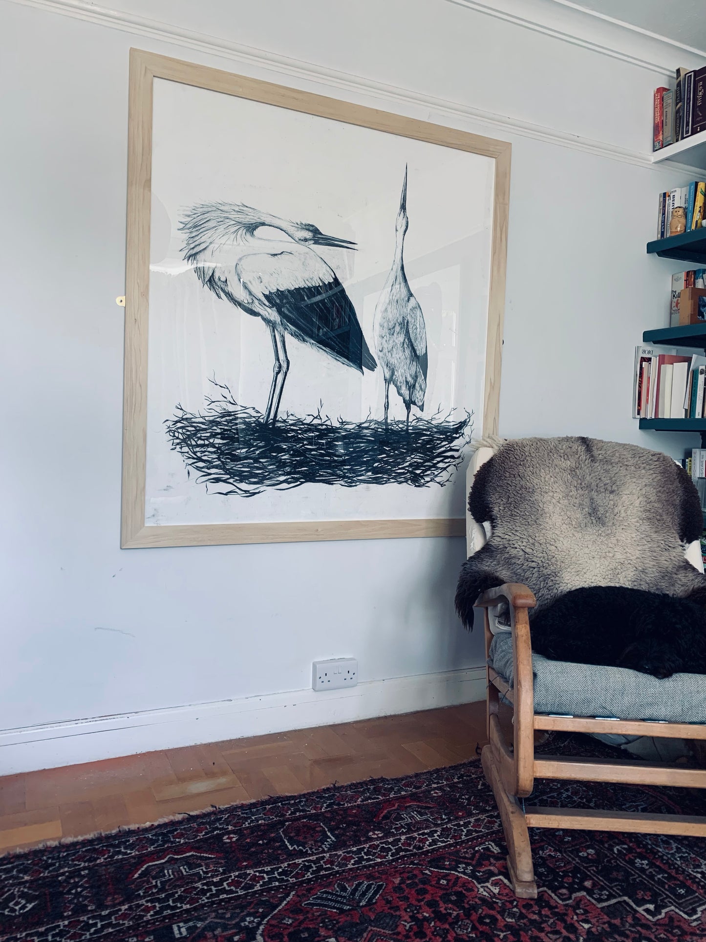 White Storks