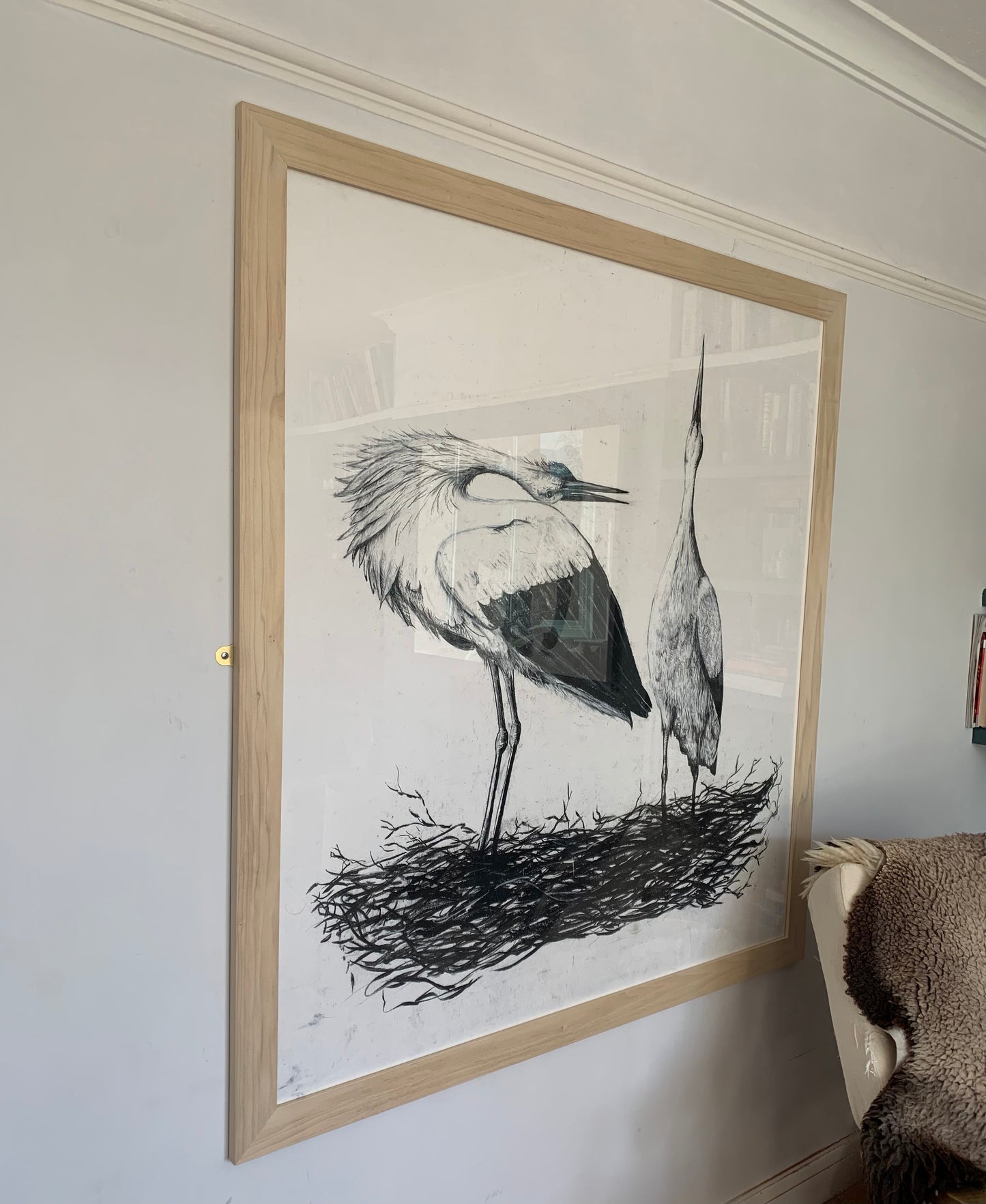 White Storks