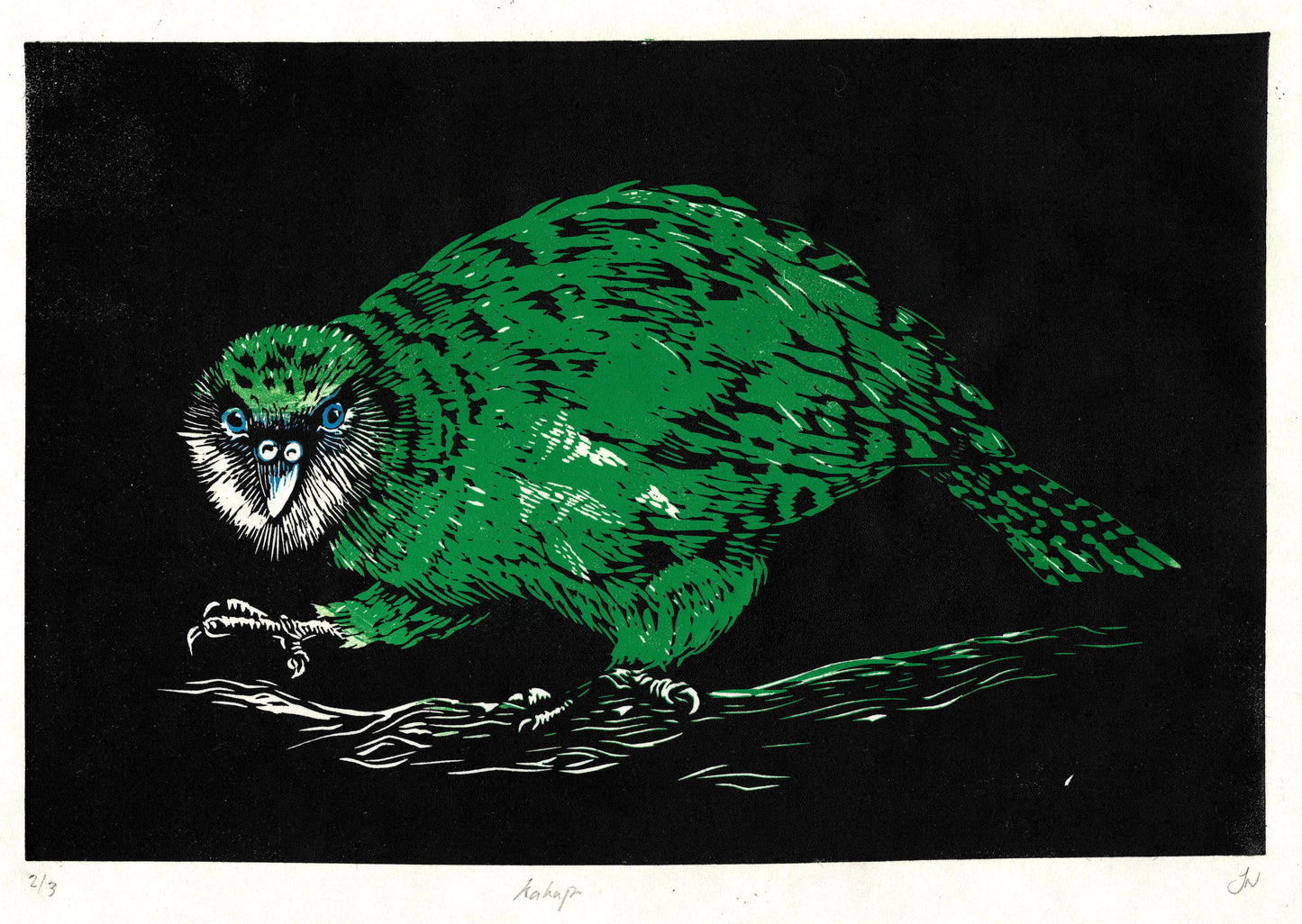 Kakapo