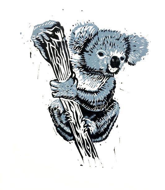 Koala