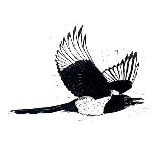 Magpie