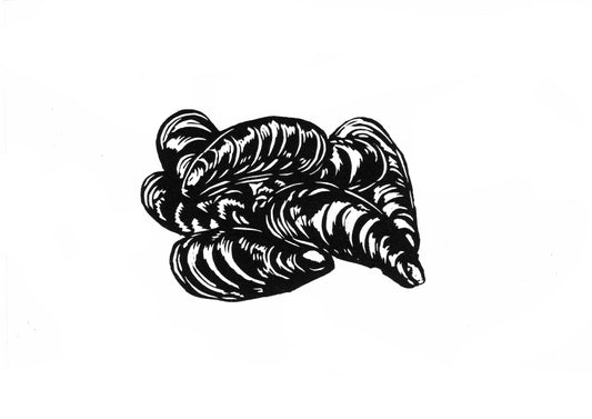 Mussels