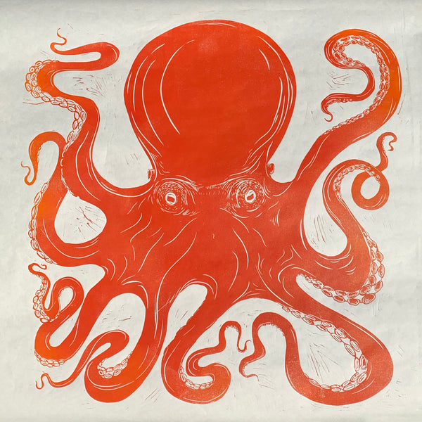 Octopus 2021 Orange