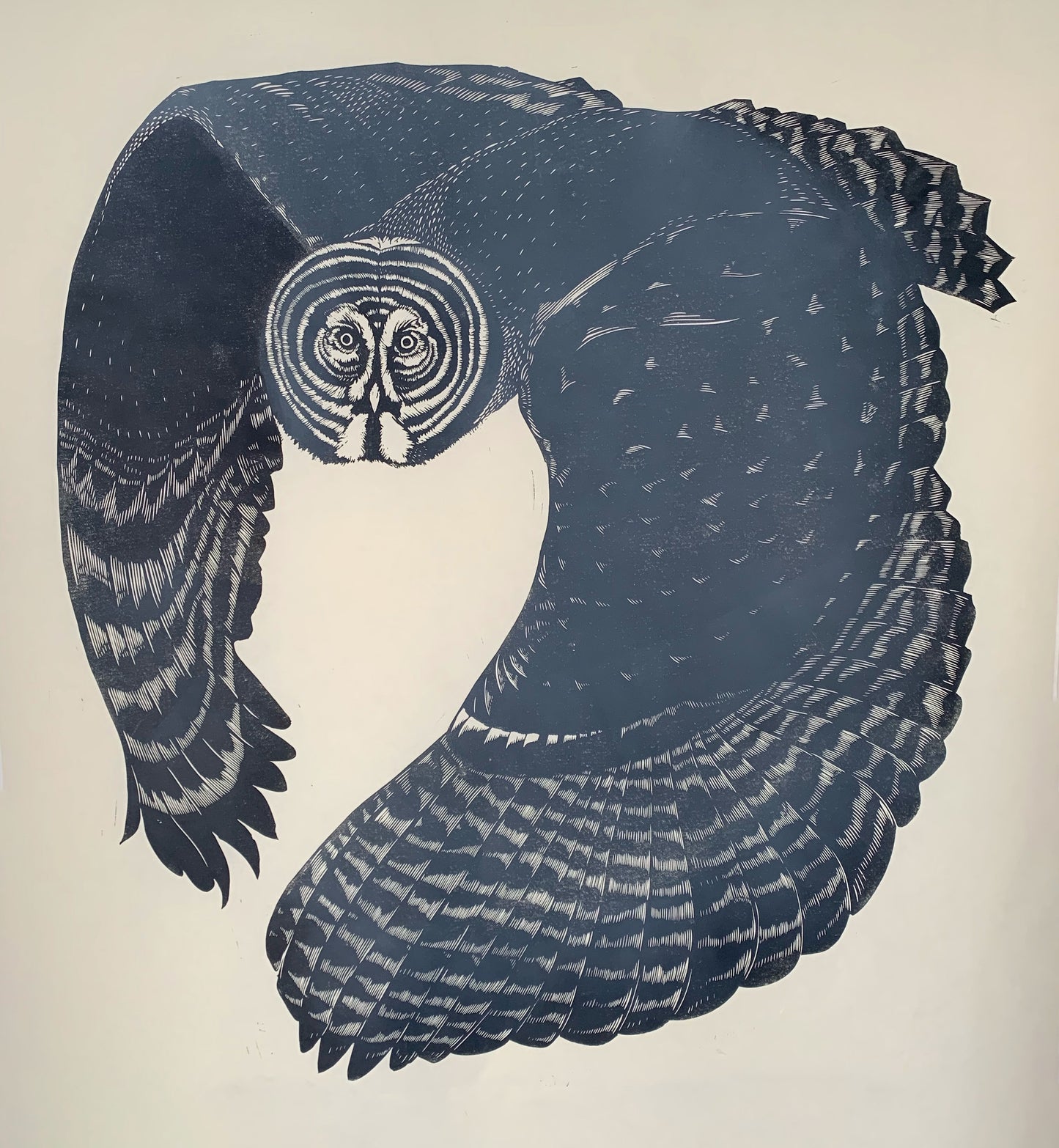 Great Grey Owl