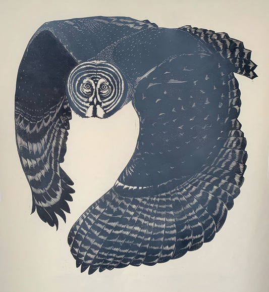 Great Grey Owl