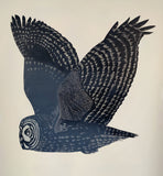 Great Grey Owl II