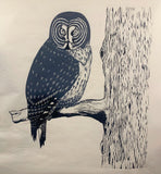 Great Grey Owl III