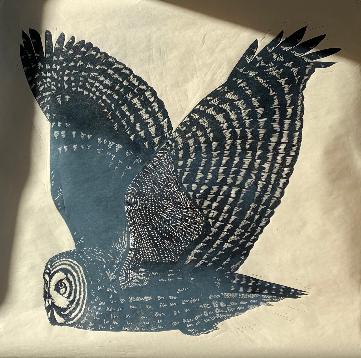 Great Grey Owl II