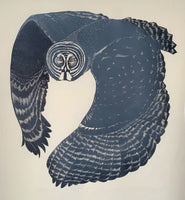 Great Grey Owl 2nd edition