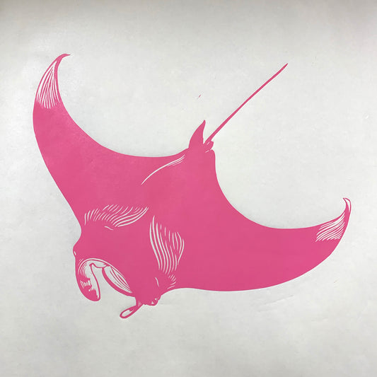 Pink Mantaray