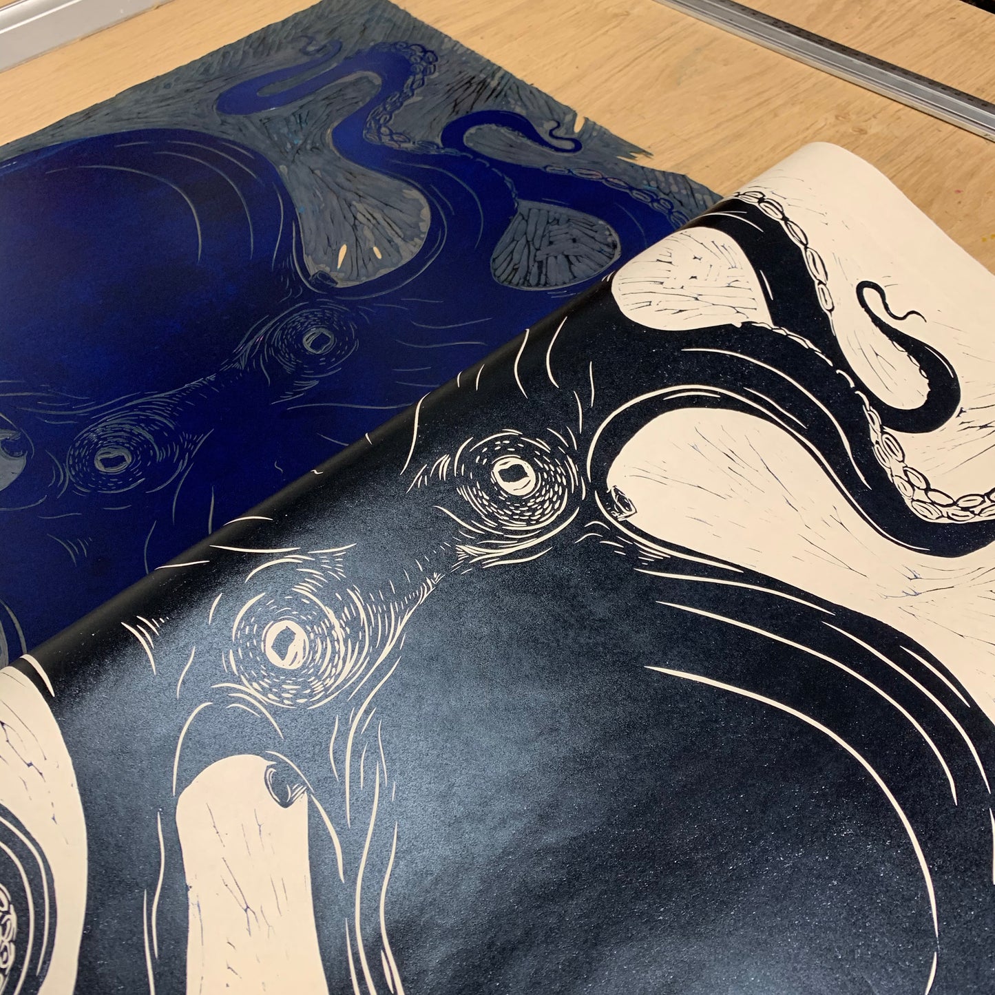 Octopus 2021 Prussian Blue