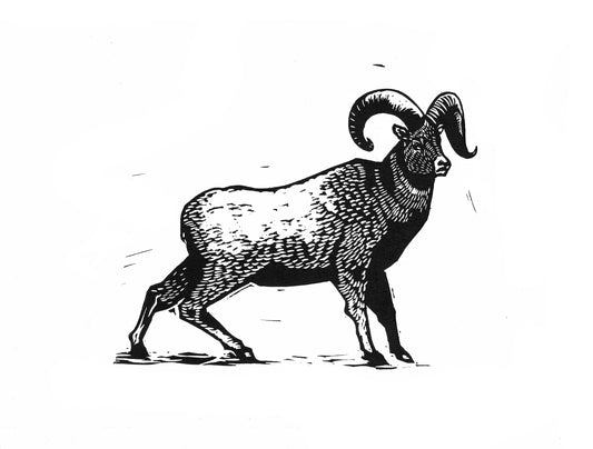 The Exiled Ram