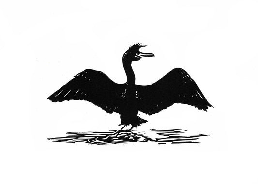 Shag