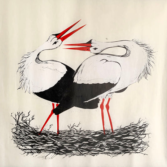 White Storks