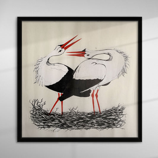 White Storks