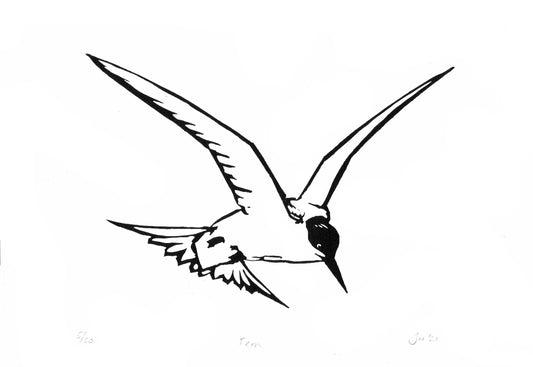 Common Tern