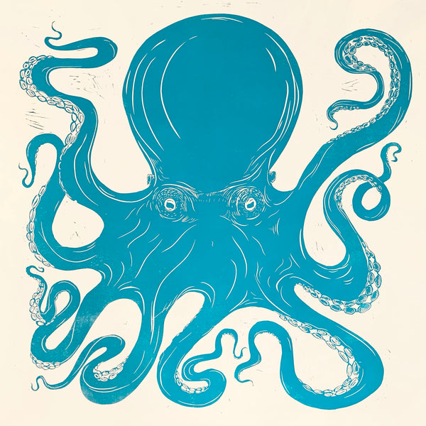 Octopus 2021 Turquoise