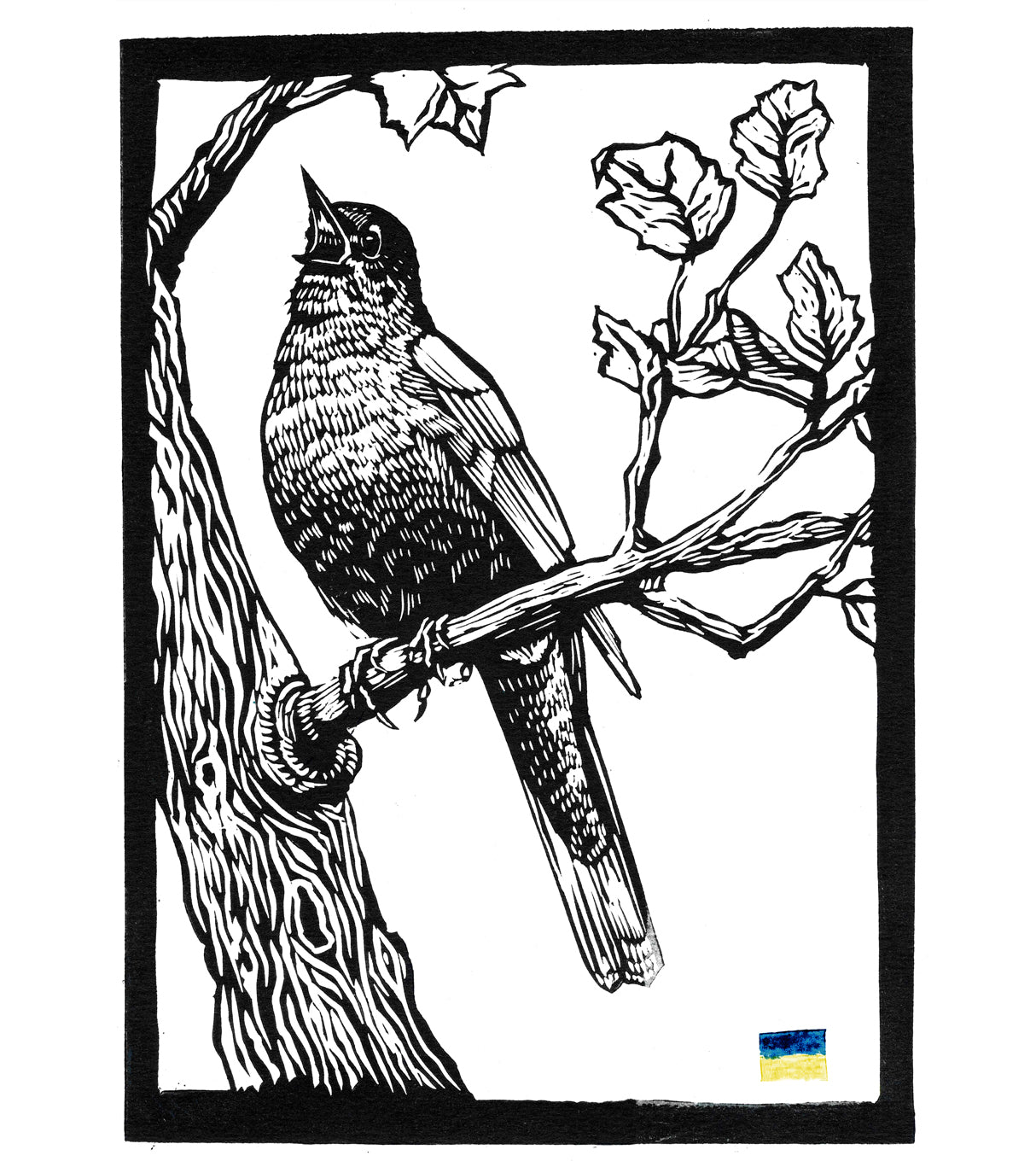 Nightingale for Ukraine