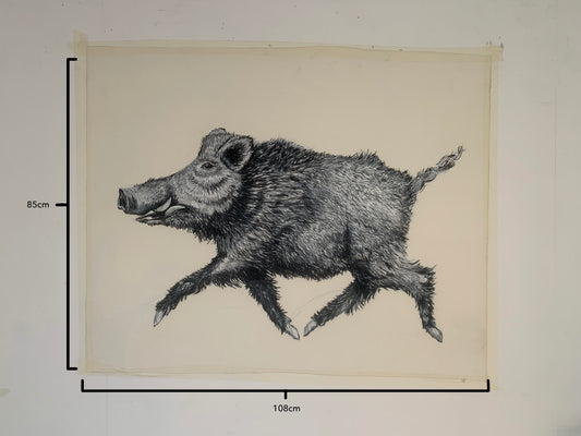 Wild Boar Pastel
