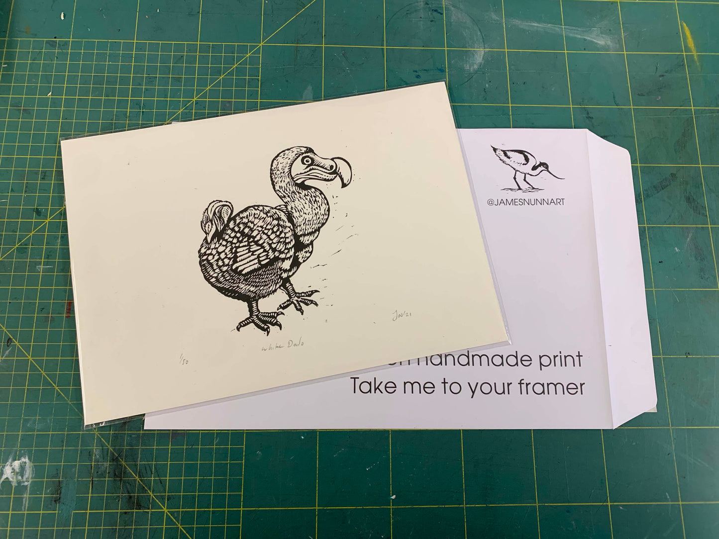 White Dodo
