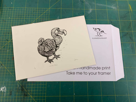 White Dodo