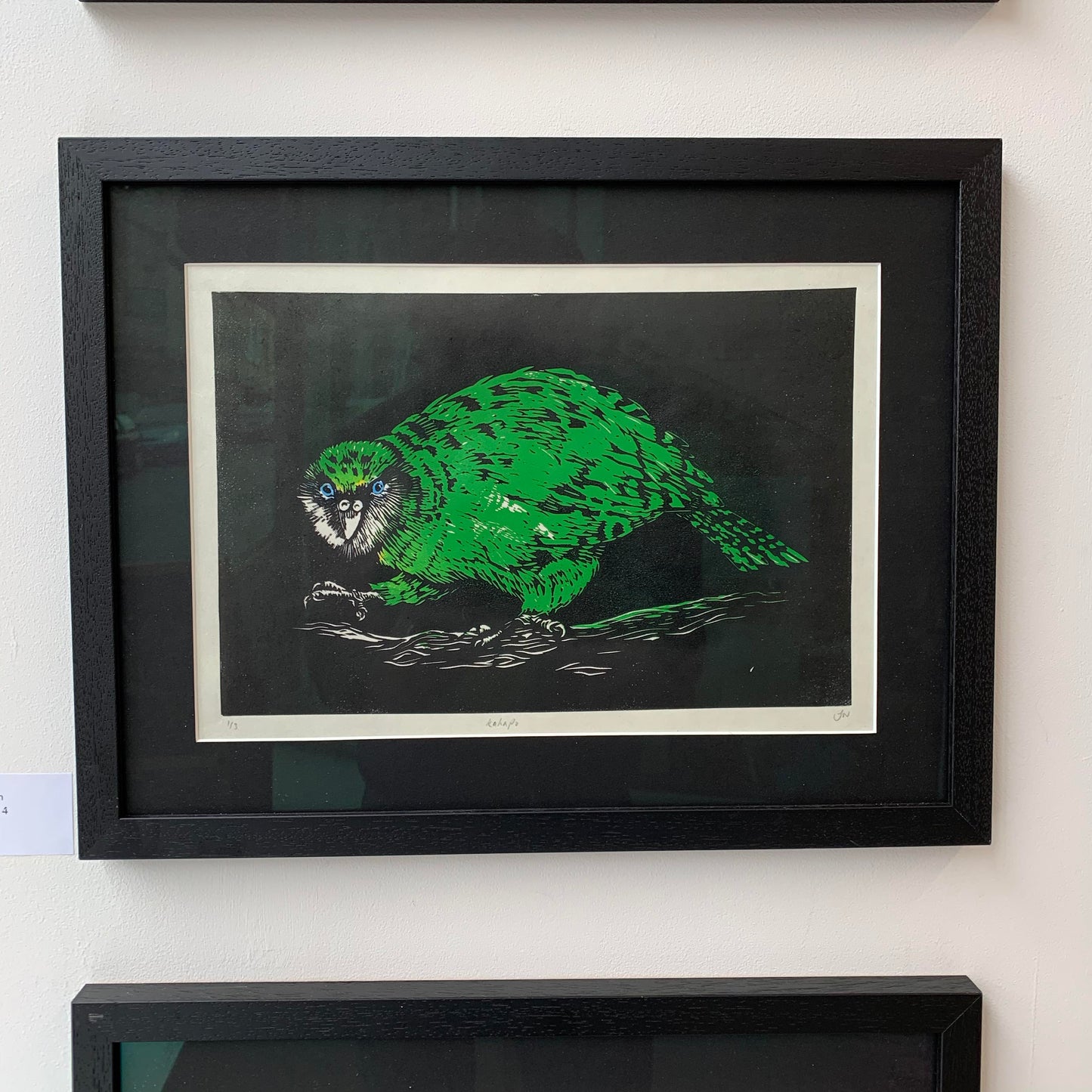 Kakapo