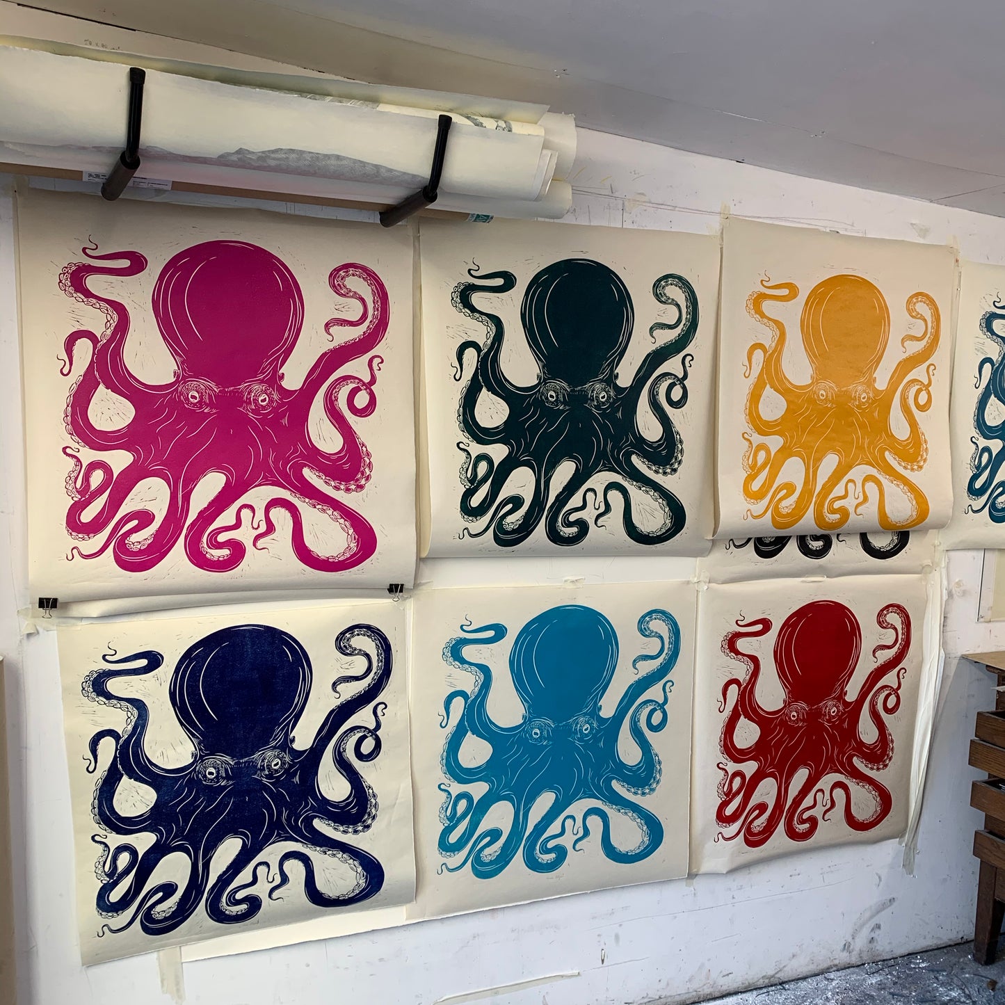 Octopus 2021 Teal