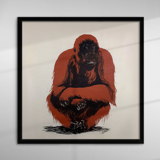 Orangutan