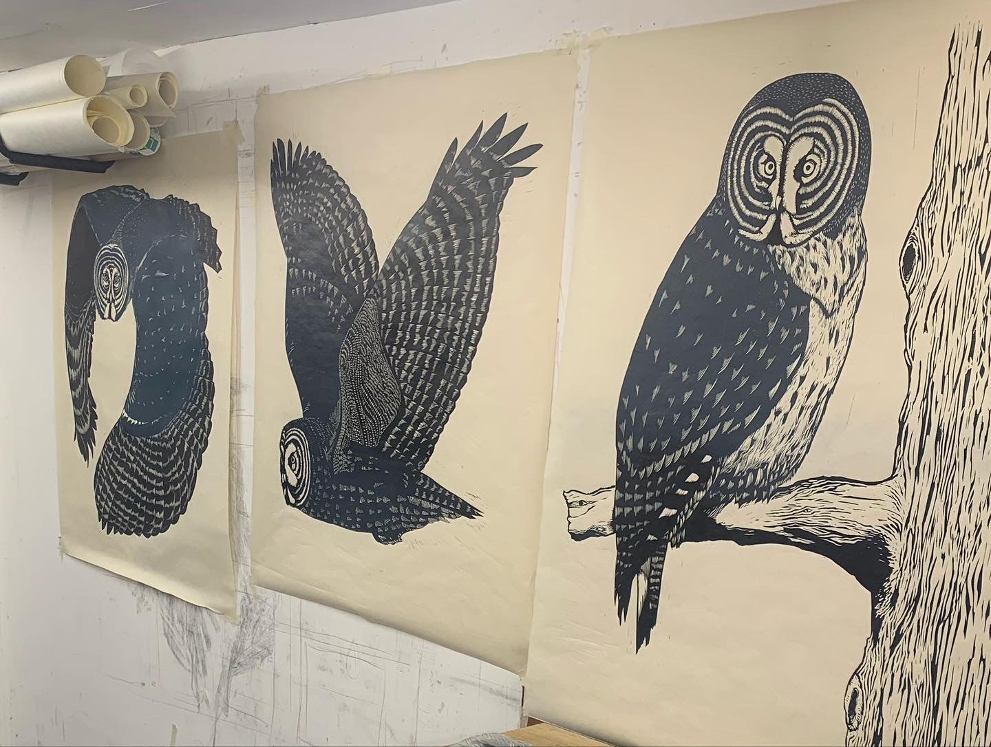 Great Grey Owl III