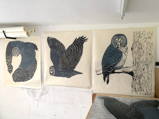 Great Grey Owl III