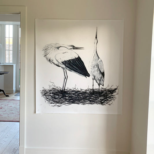 White Storks