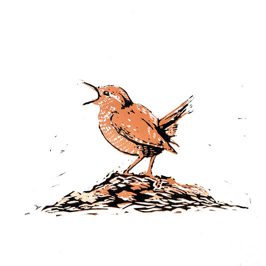 wren